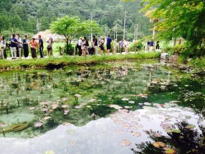 岐阜観光　関市板取　モネの池　自然